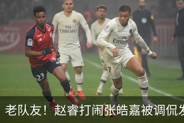 老队友！赵睿打闹张皓嘉被调侃发型 布朗陈盈骏崔永熙焦泊乔合照